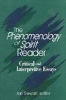 Jon Stewart, Jon Bartley Stewart - The Phenomenology of Spirit Reader