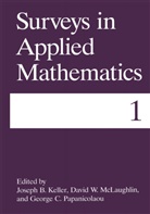 Joseph Keller, Joseph B Keller, Joseph B. Keller, David McLaughlin, David W McLaughlin, David W. McLaughlin... - Surveys in Applied Mathematics