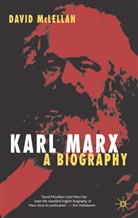 David McLellan - Karl Marx