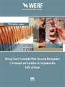 K W Thornton, K. Thornton, K. W. Thornton - Strategies for Sustainable Water Resource Management