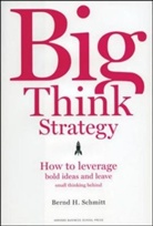 Bernd Schmitt, Bernd H. Schmitt - Big Think Strategy