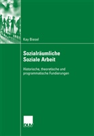 Kay Biesel - Sozialräumliche Soziale Arbeit