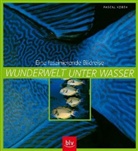 Pascal Kobeh - Wunderwelt unter Wasser