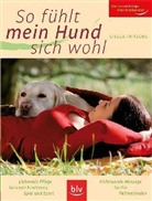 Gisela Fritsche - So fühlt mein Hund sich wohl