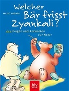 Mario Ludwig - Welcher Bär frisst Zyankali?