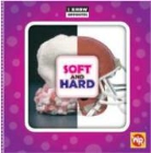 Gini Holland - Soft and Hard