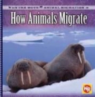 Susan Labella - How Animals Migrate