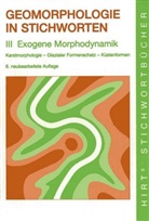 Christin Embleton-Hamann, Christine Embleton-Hamann, Herbert Wilhelmy - Geomorphologie in Stichworten - 3: Geomorphologie in Stichworten