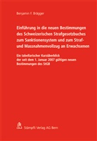 Benjamin F Brägger, Benjamin F. Brägger - Einführung in die neuen Bestimmungen des Schweizerischen Strafgesetzbuches zum Sanktionensystem und zum Straf- und Massnahmenvollzug an Erwachsenen