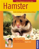 Angela Beck - Hamster