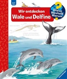 Doris Rübel, Doris Rübel - Wieso? Weshalb? Warum?, Band 41: Wir entdecken Wale und Delfine