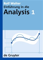 Rolf Walter - Rolf Walter: Einführung in die Analysis - 1: Rolf Walter: Einführung in die Analysis. 1. Bd.1