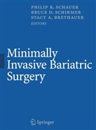 Stacy Brethauer, Stacy A. Brethauer, Bruc D Schirmer, Philip R. Schauer, Phillip R. Schauer, Bruce D. Schirmer - Minimally Invasive Bariatric Surgery