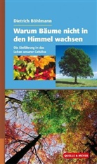 Dietrich Böhlmann - Warum Bäume nicht in den Himmel wachsen