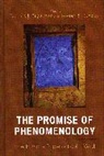 Richard I. Sugarman, John Daniel/ Sugarman Wild, Roger Duncan, Roger B. Duncan, Duncan Roger, Richard I Sugarman... - The Promise of Phenomenology