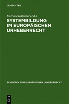 Kar Riesenhuber, Karl Riesenhuber - Systembildung im Europäischen Urheberrecht