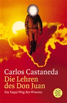 Carlos Castaneda - Die Lehren des Don Juan