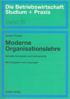 Gunter Pirntke - Moderne Organisationslehre