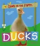 Sally Morgan - Ducks