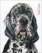 Ltd Pq Blackwell, Gandee Vasan - Dog Days