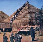 Alan Hayward - Africa Called