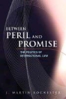 J. Martin Rochester, J.martin Rochester, Martin Rochester - Between Peril and Promise