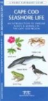 James Kavanagh, James/ Leung Kavanagh, Waterford Press, Raymond Leung - Cape Cod Seashore Life