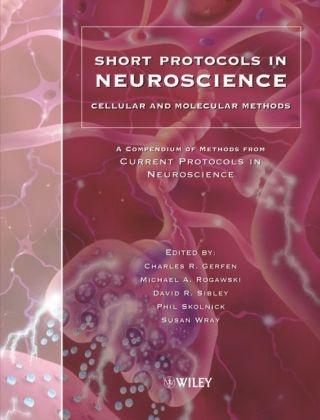 Jacqueline N. Crawley, Charles Gerfen, Charles R. Rogawski Gerfen,  GERFEN CHARLES R ROGAWSKI MICHA, Michael Rogawski, Davi Sibley... - Short Protocols in Neuroscience - Cellular and Molecular Methods