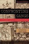 G. David Curry, G. David (University of Missouri-St. Louis) Curry, G.David Curry, G.david Decker Curry, Scott H. Decker, Scott H. (University of Missouri-St. Louis) Decker - Confronting Gangs