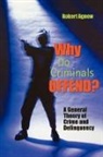 Robert Agnew, Robert (Professor of Sociology Agnew, Agnew Robert - Why Do Criminals Offend?
