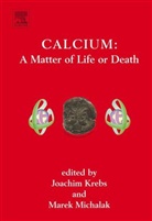 Joachim (EDT)/ Michalak Krebs, Joachim Krebs, Marek Michalak - Calcium
