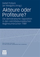 Detle Pollack, Detlef Pollack, Wielgohs, Wielgohs, Jan Wielgohs - Akteure oder Profiteure?