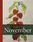 Liane Dirks - Das Buch vom besinnlichen November