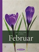 Liane Dirks - Das Buch vom klaren Februar