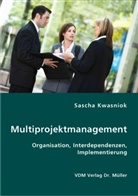 Sascha Kwasniok - Multiprojektmanagement