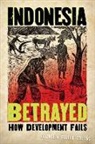 Elizabeth Fuller Collins - Indonesia Betrayed