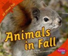 Martha E. H. Rustad, Gail Saunders-Smith - Animals in Fall