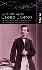 David Foster Wallace - Georg Cantor
