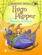 Chris Riddell, Paul Stewart - Hugo Pepper und der fliegende Schlitten