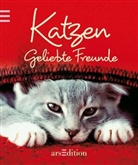 Katzen, Geliebte Freunde