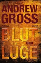 Andrew Gross - Blut und Lüge