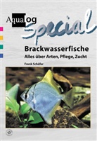 Frank Schäfer - Brackwasserfische