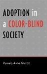 Pamela Anne Quiroz - Adoption in a Color-Blind Society
