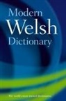King, Gary King, Gareth King, King Gareth - Modern Welsh Dictionary