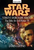 James Luceno - Star Wars: Das Erbe der Jedi-Ritter - Bd. 19: Star Wars, Das Erbe der Jedi-Ritter - Vereint durch die Macht