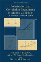 Vsevolod Balashov, Vsevolod V Balashov, Vsevolod V. Balashov, Alexei Grum-Grzhimailo, Alexei N Grum-Grzhimailo, Alexei N. Grum-Grzhimailo... - Polarization and Correlation Phenomena in Atomic Collisions