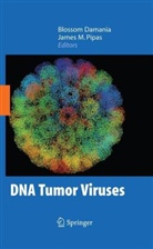 Damania Blossom, Blosso Damania, Blossom Damania, Blossom Damanias, Pipas, Pipas... - DNA Tumor Viruses