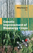 Wilfre Vermerris, Wilfred Vermerris - Genetic Improvement of Bioenergy Crops