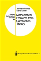Jerrol Bebernes, Jerrold Bebernes, David Eberly - Mathematical Problems from Combustion Theory