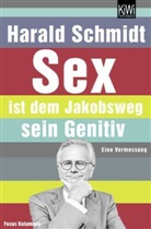 Harald Schmidt - Sex ist dem Jakobsweg sein Genitiv